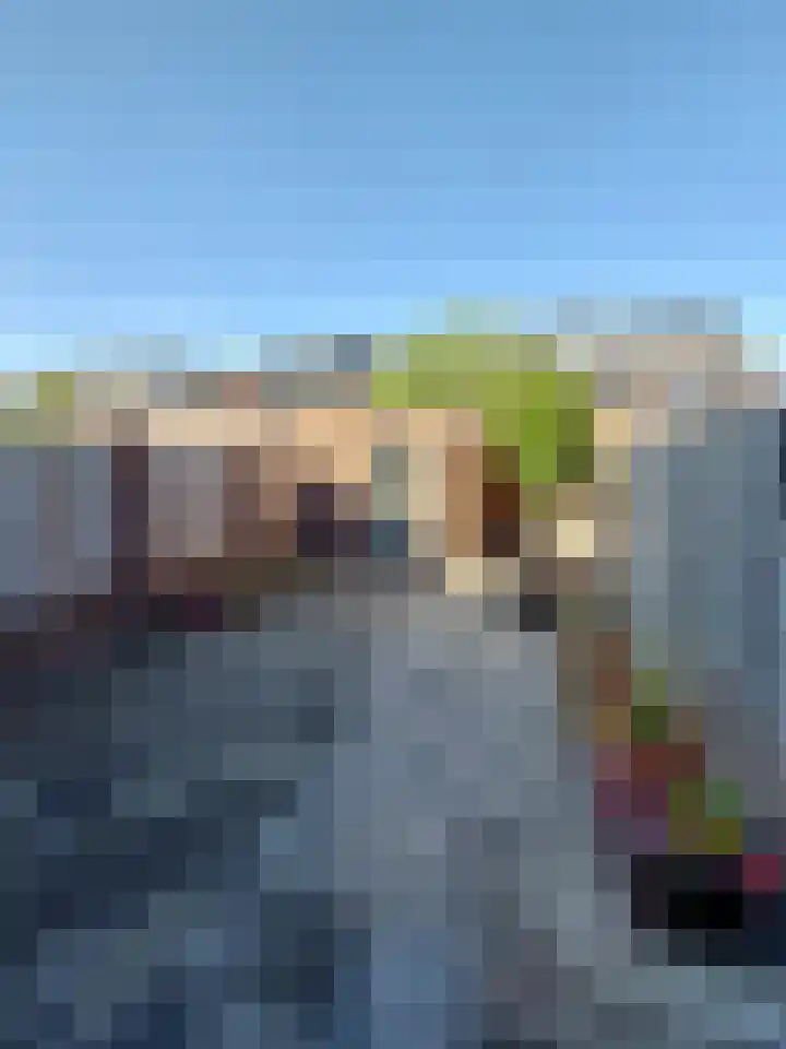 ter Borghstraat 23 Geldrop thumbnail 38