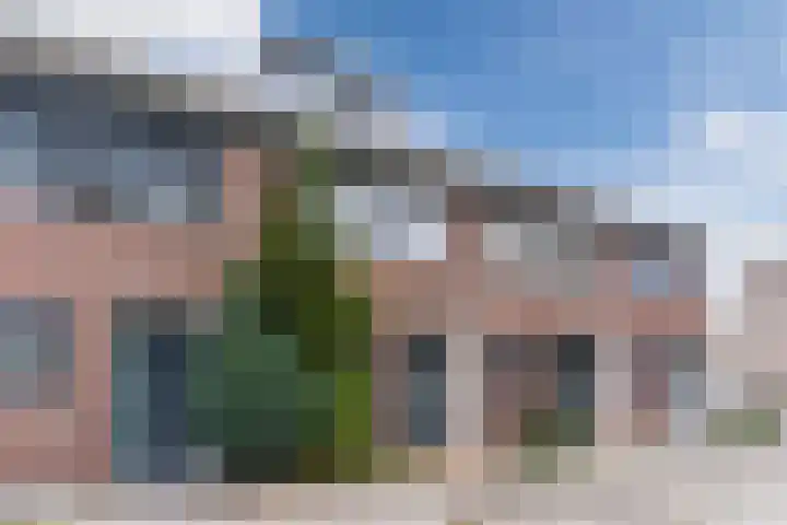 ter Borghstraat 23 Geldrop thumbnail 43
