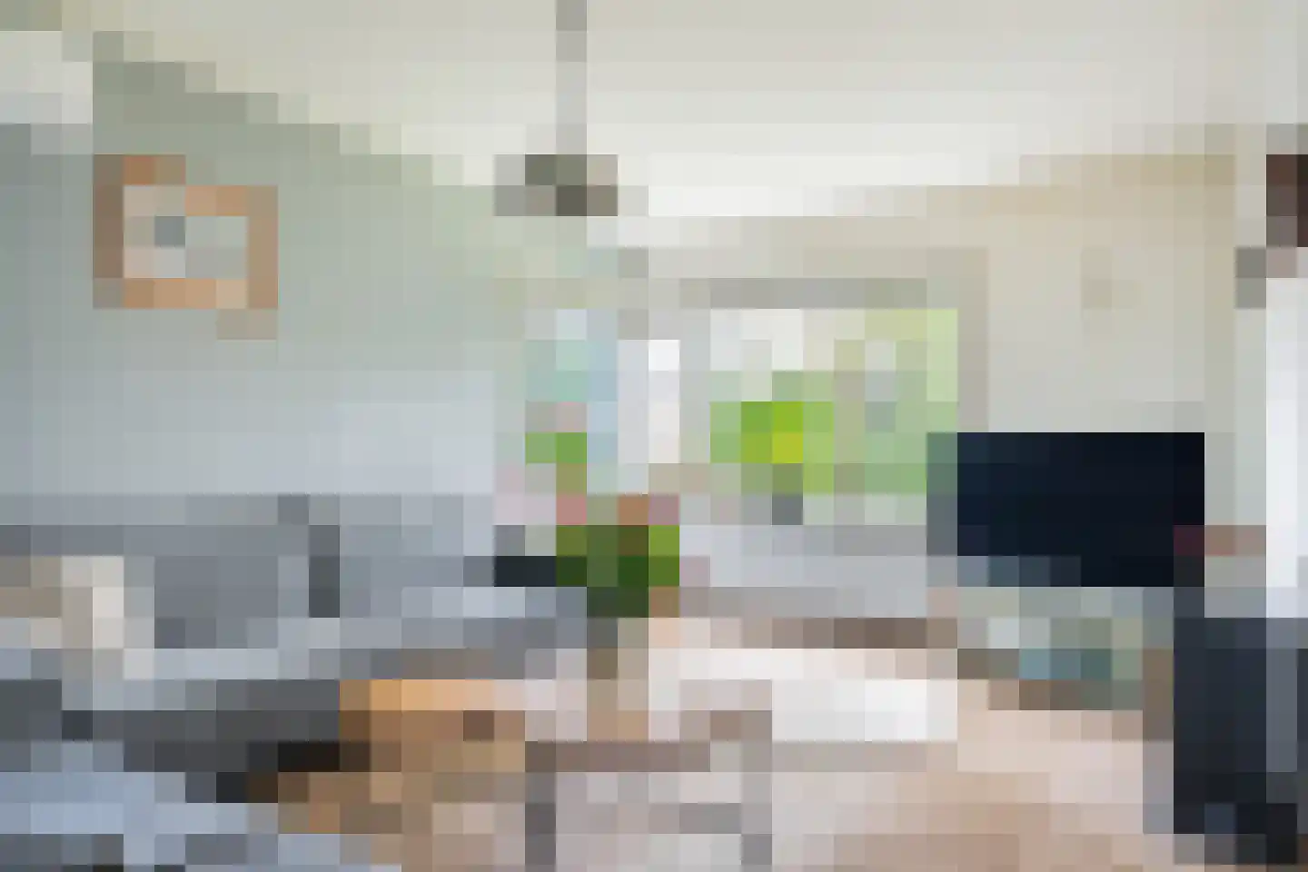 Ter Borghstraat 38 Sleen thumbnail 14