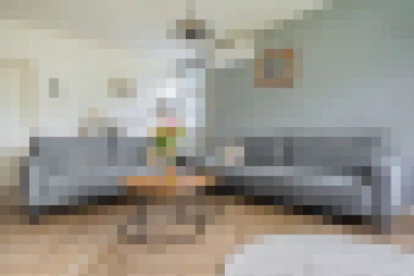 Ter Borghstraat 38 Sleen thumbnail 17