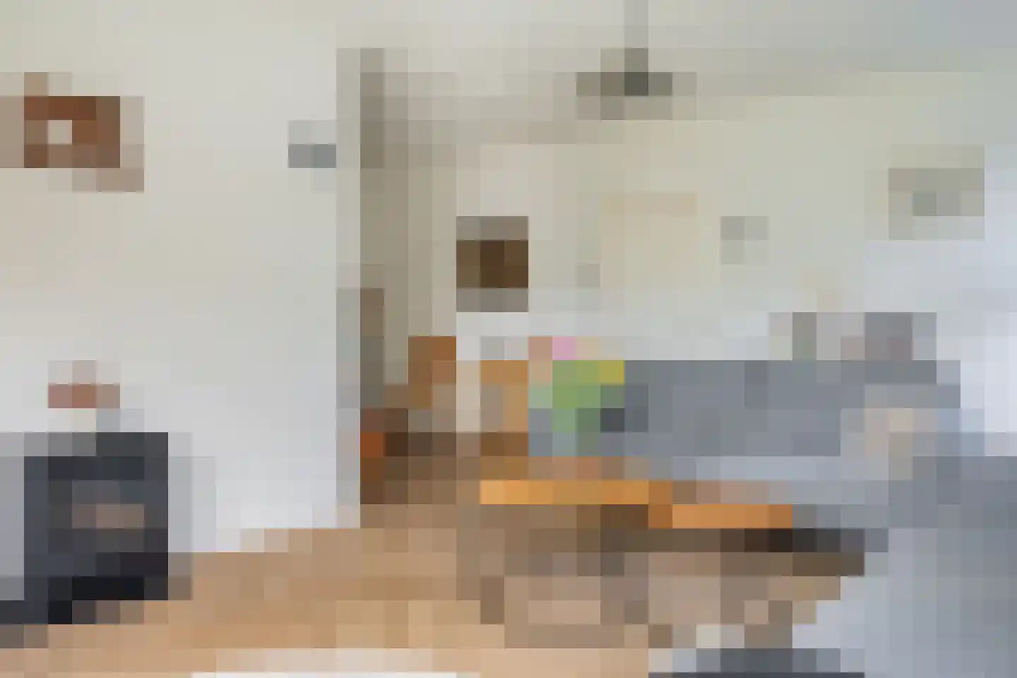 Ter Borghstraat 38 Sleen thumbnail 18