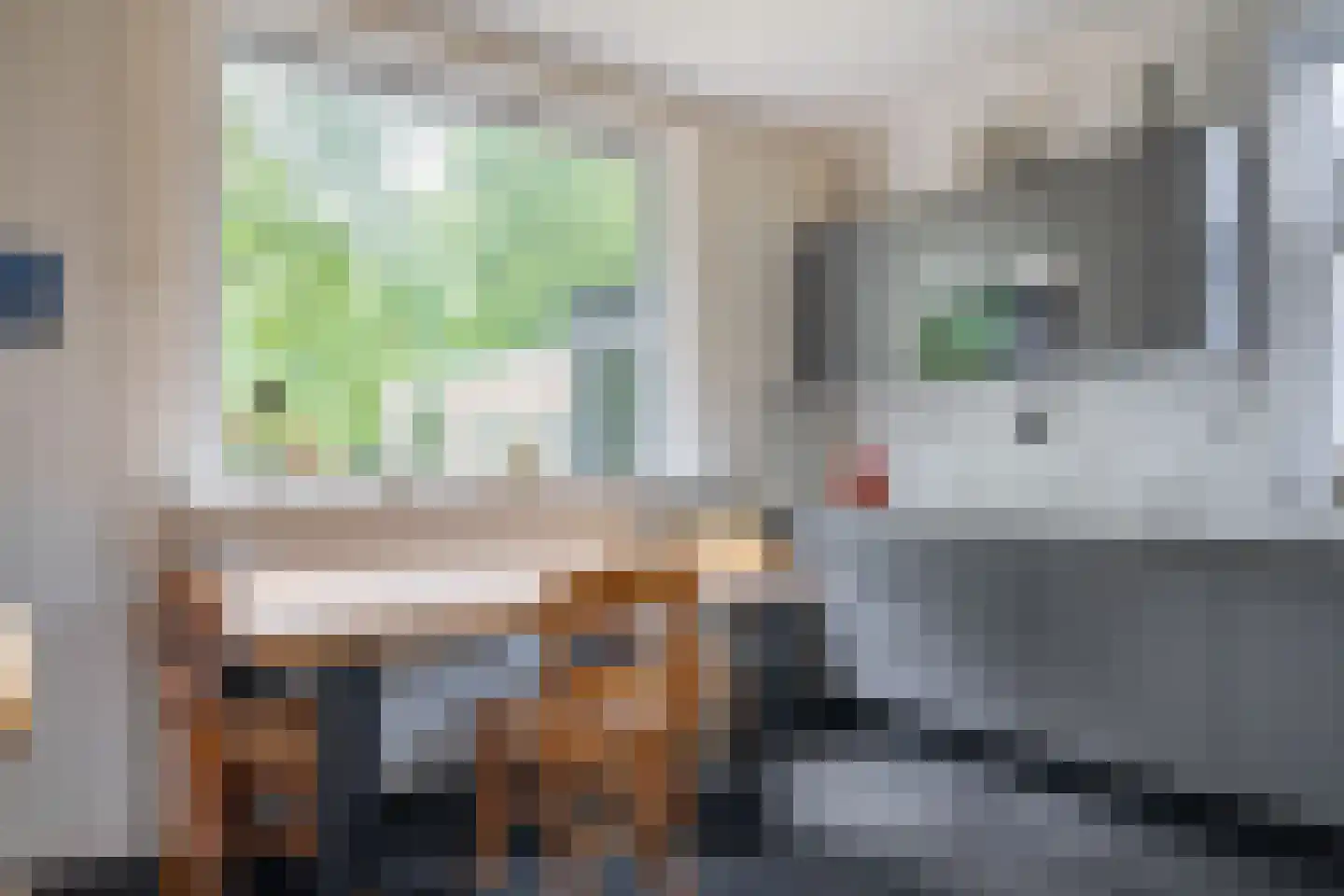 Ter Borghstraat 38 Sleen thumbnail 20