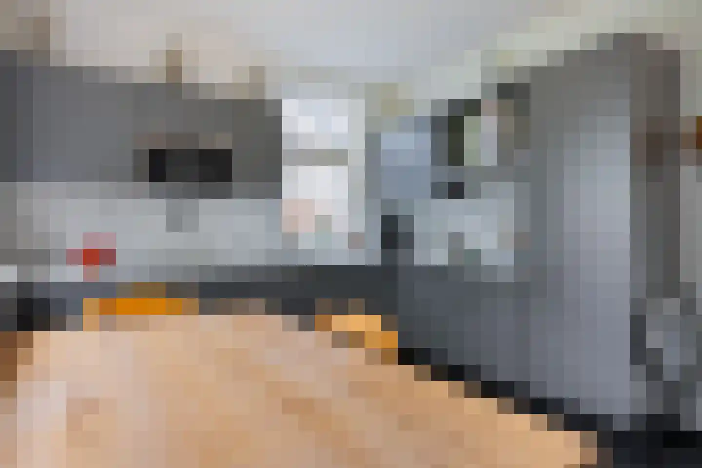 Ter Borghstraat 38 Sleen thumbnail 22