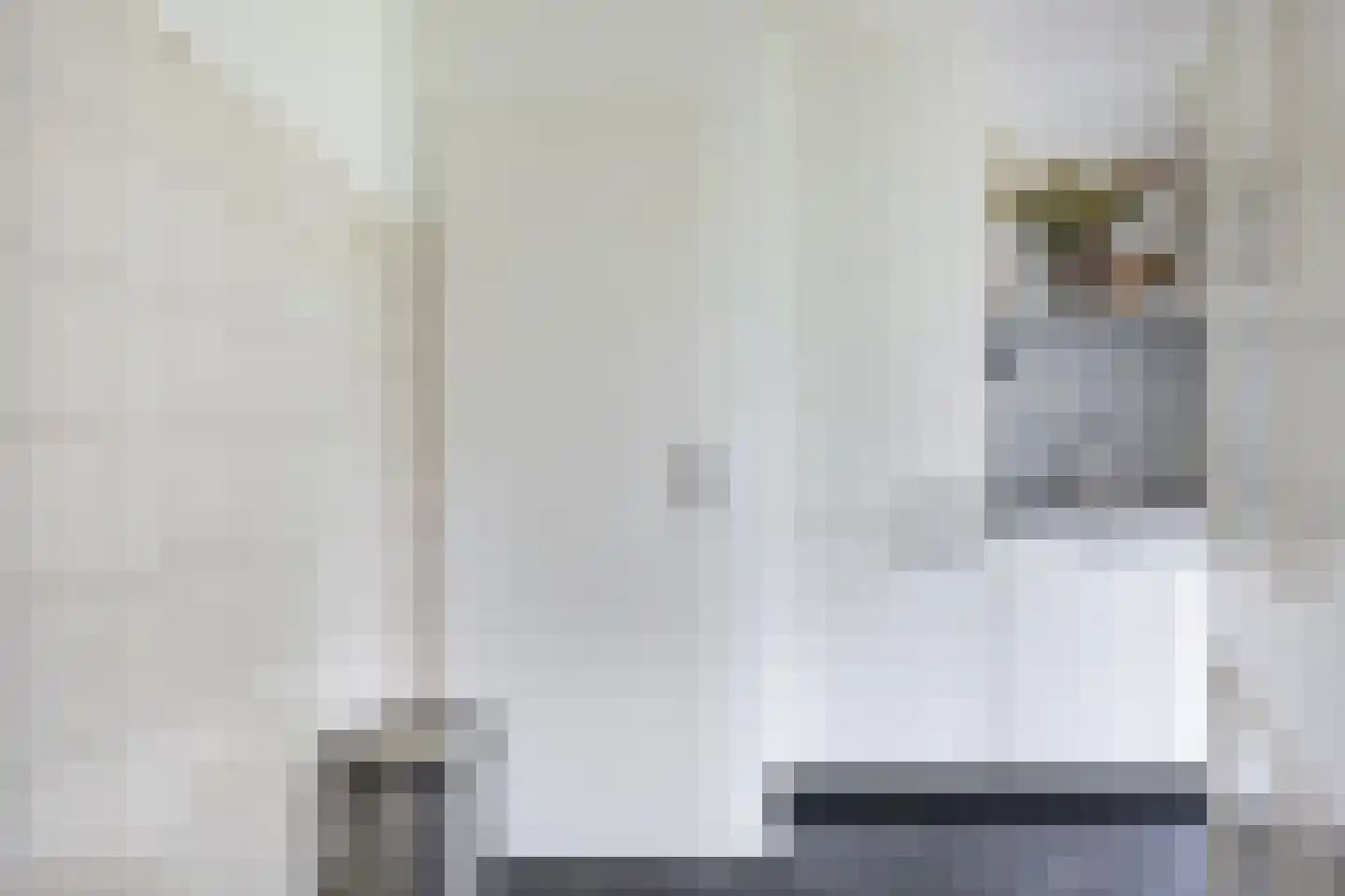 Ter Borghstraat 38 Sleen thumbnail 27