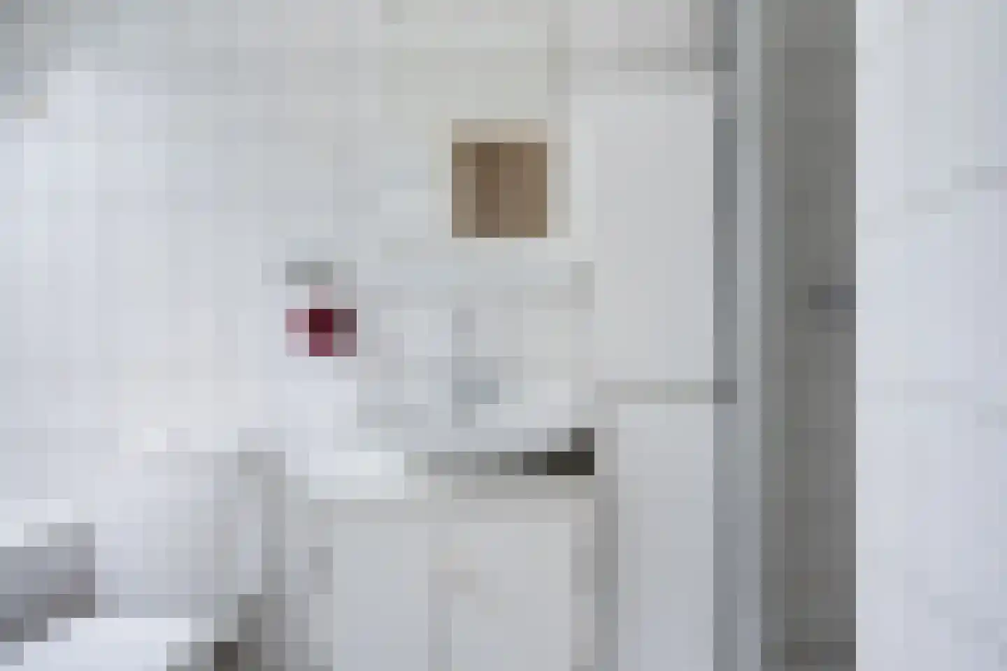 Ter Borghstraat 38 Sleen thumbnail 31