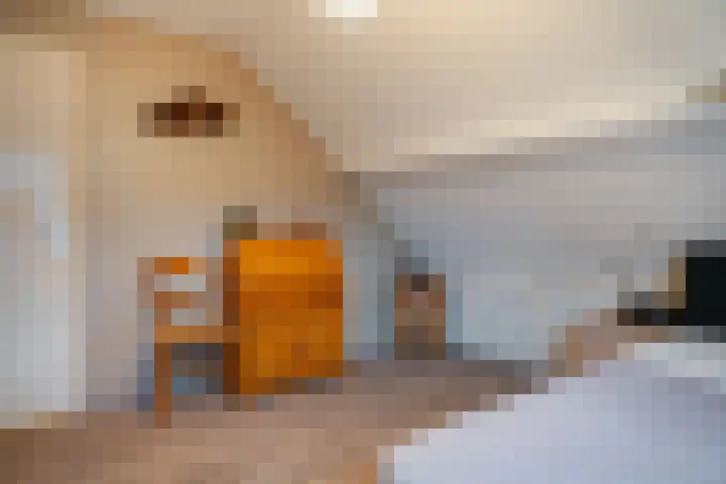 Ter Borghstraat 38 Sleen thumbnail 35