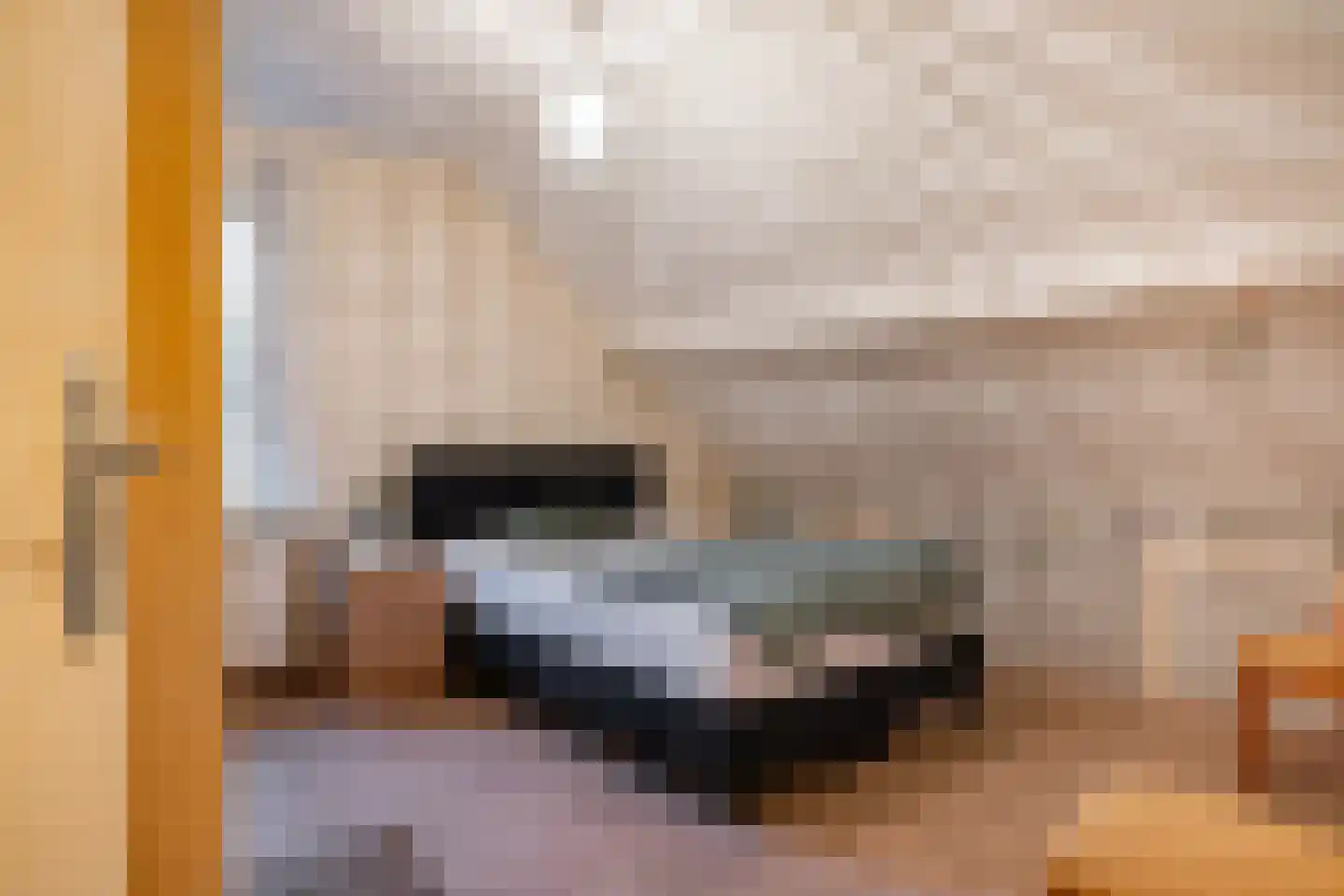 Ter Borghstraat 38 Sleen thumbnail 36