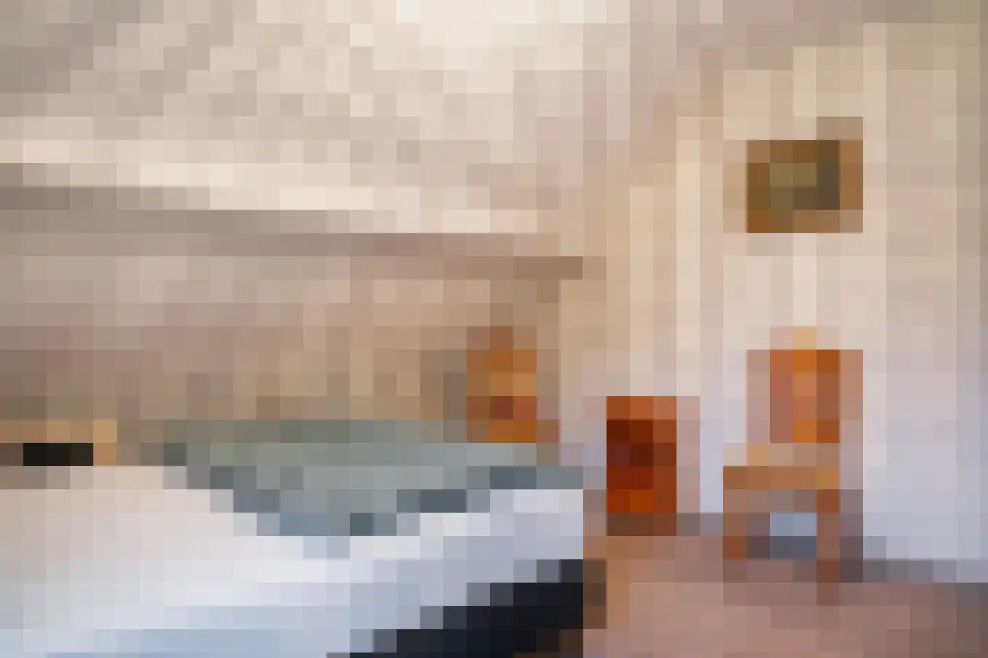 Ter Borghstraat 38 Sleen thumbnail 38