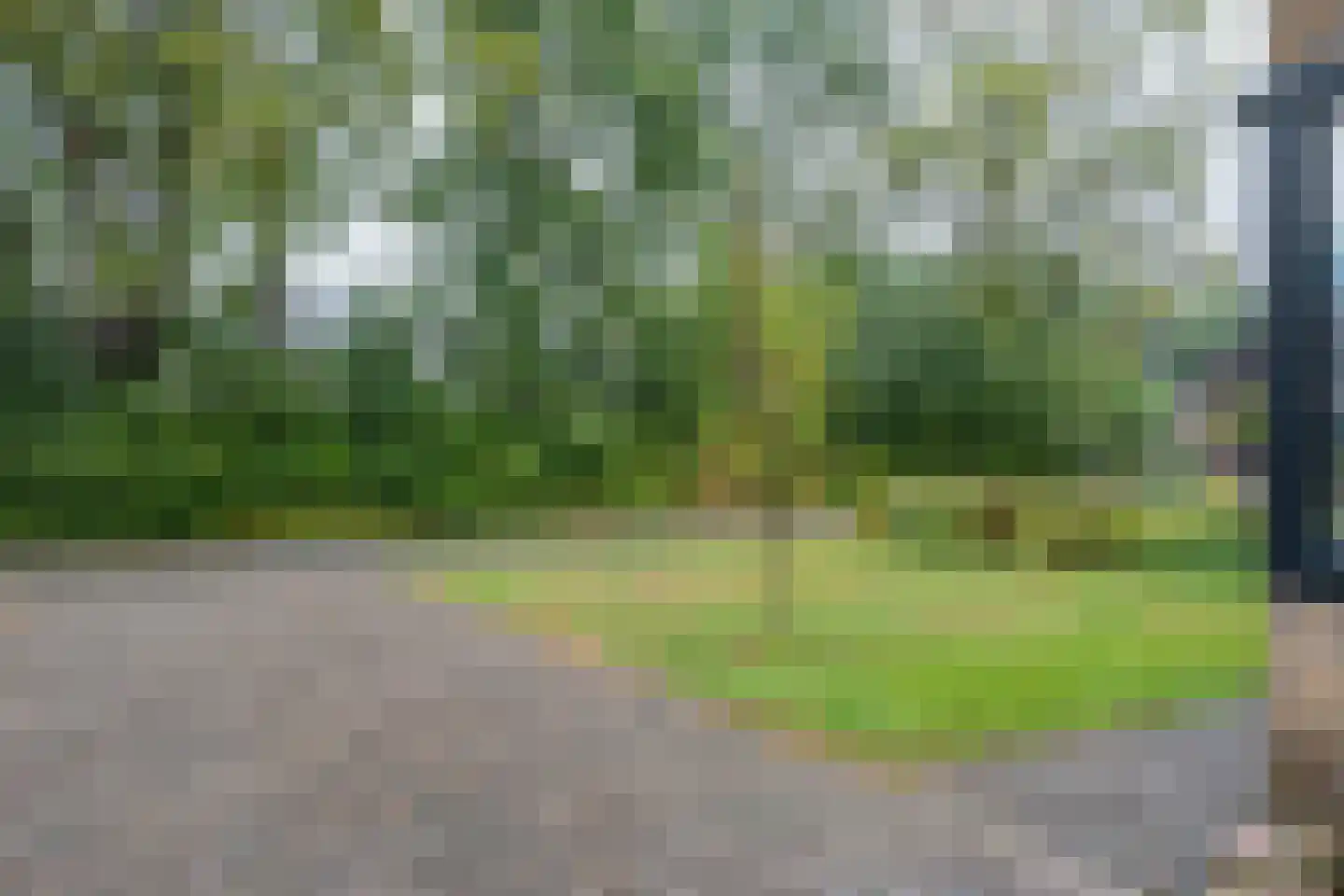 Ter Borghstraat 38 Sleen thumbnail 6