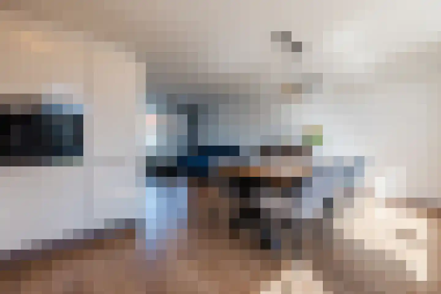 ter Borghstraat 46 Geldrop thumbnail 14