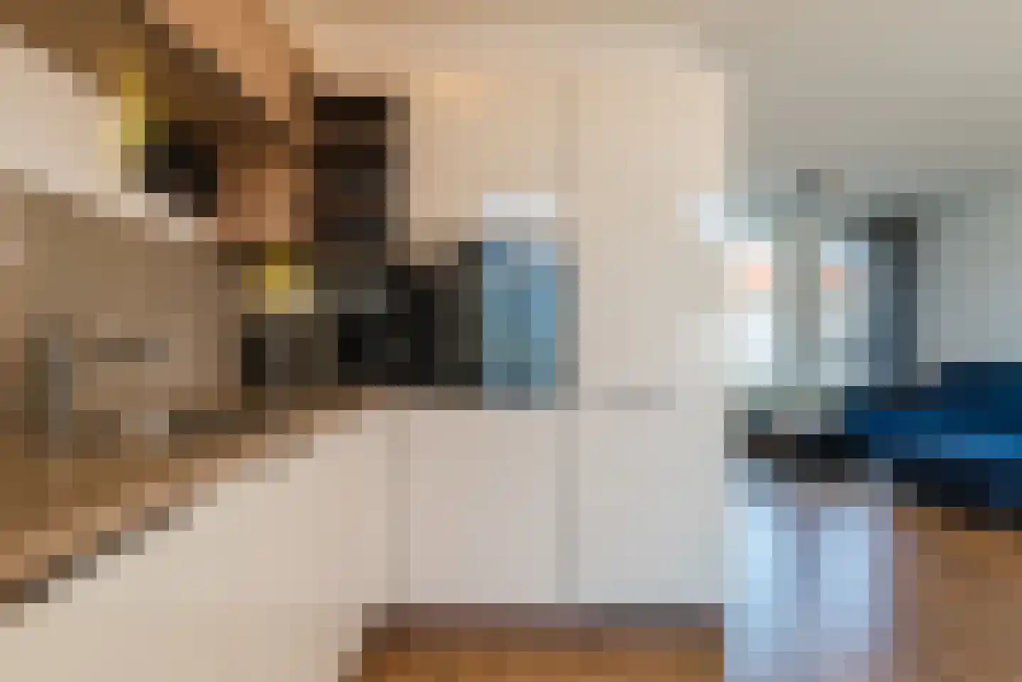 ter Borghstraat 46 Geldrop thumbnail 15