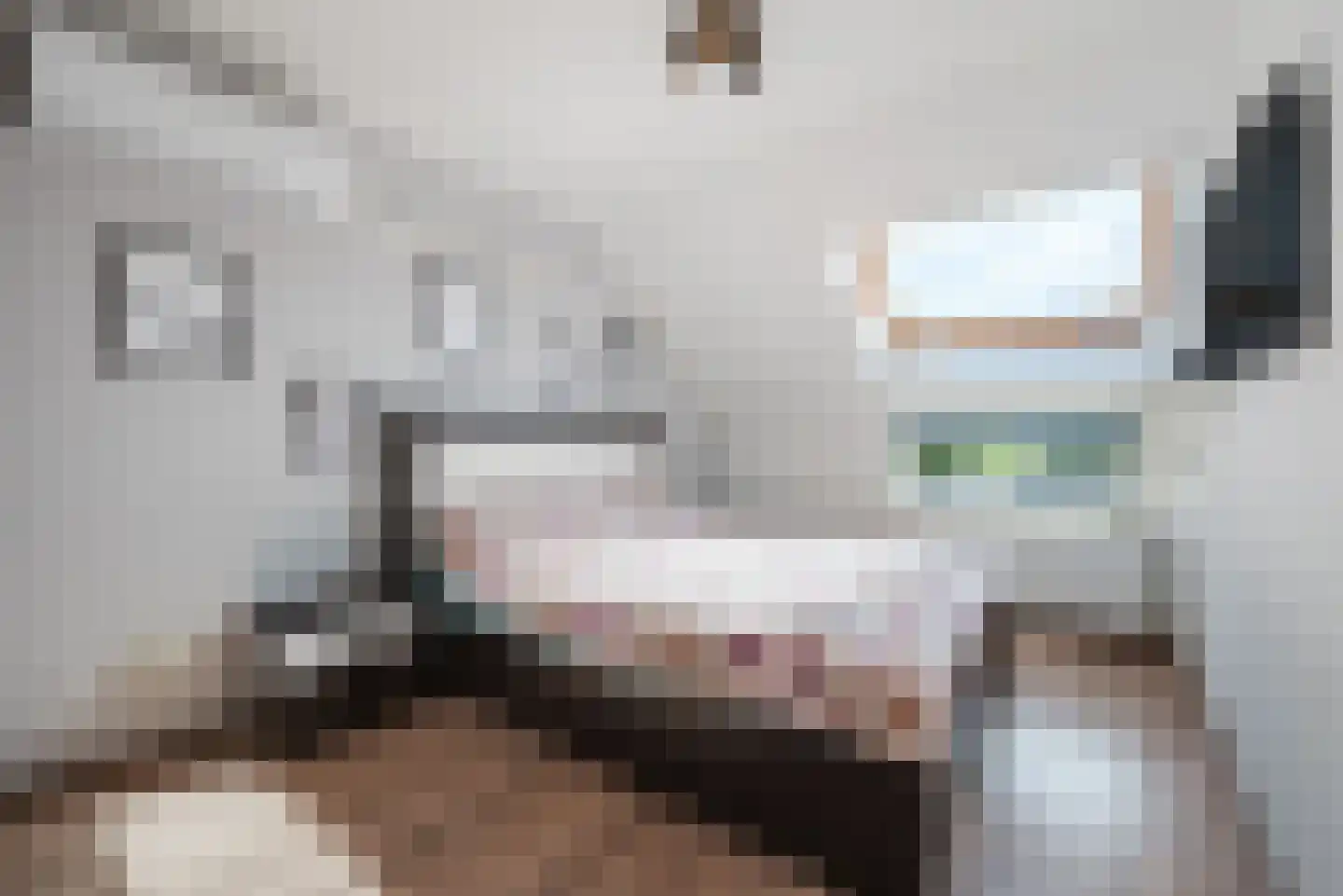 ter Borghstraat 46 Geldrop thumbnail 17