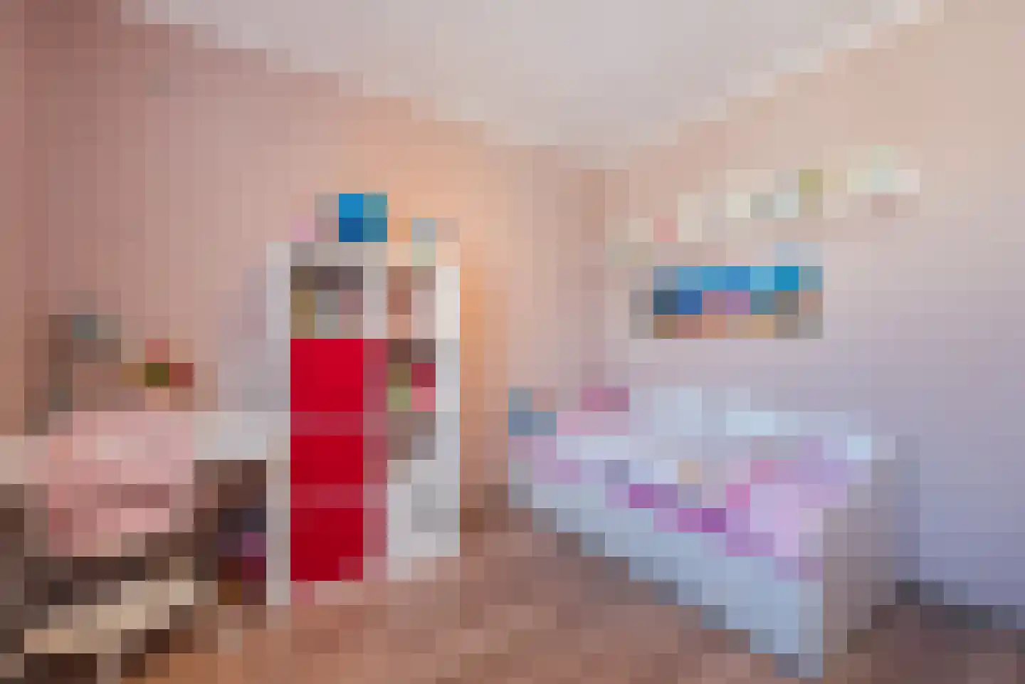 ter Borghstraat 46 Geldrop thumbnail 19