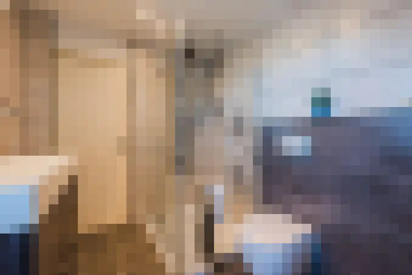ter Borghstraat 46 Geldrop thumbnail 23