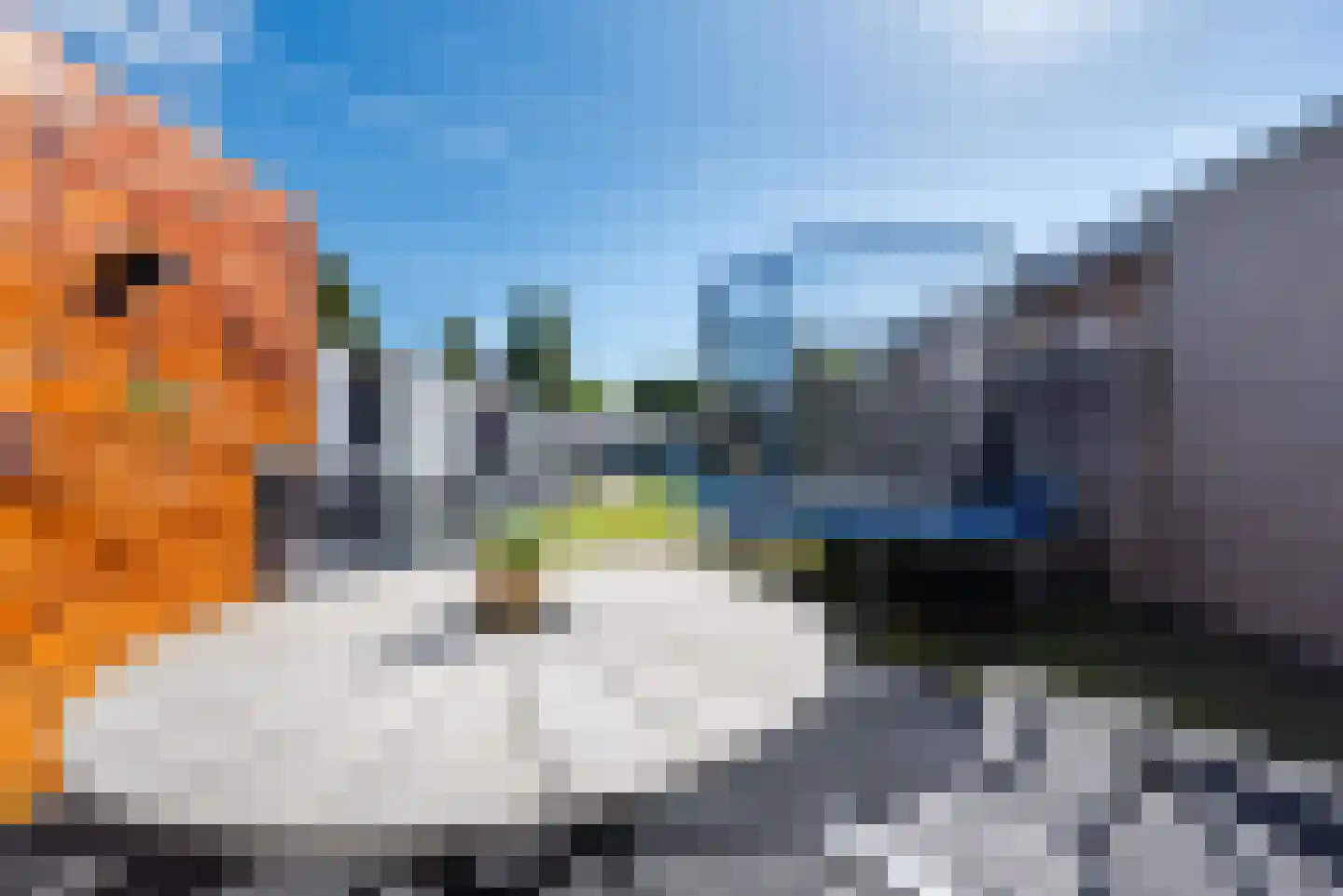 ter Borghstraat 46 Geldrop thumbnail 26