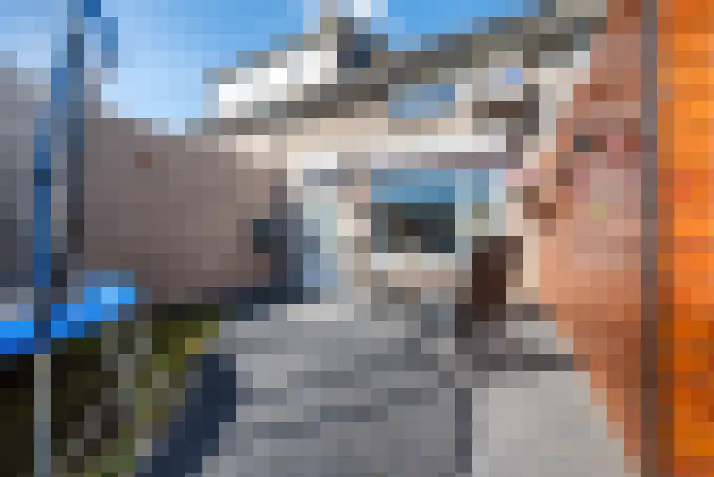ter Borghstraat 46 Geldrop thumbnail 27