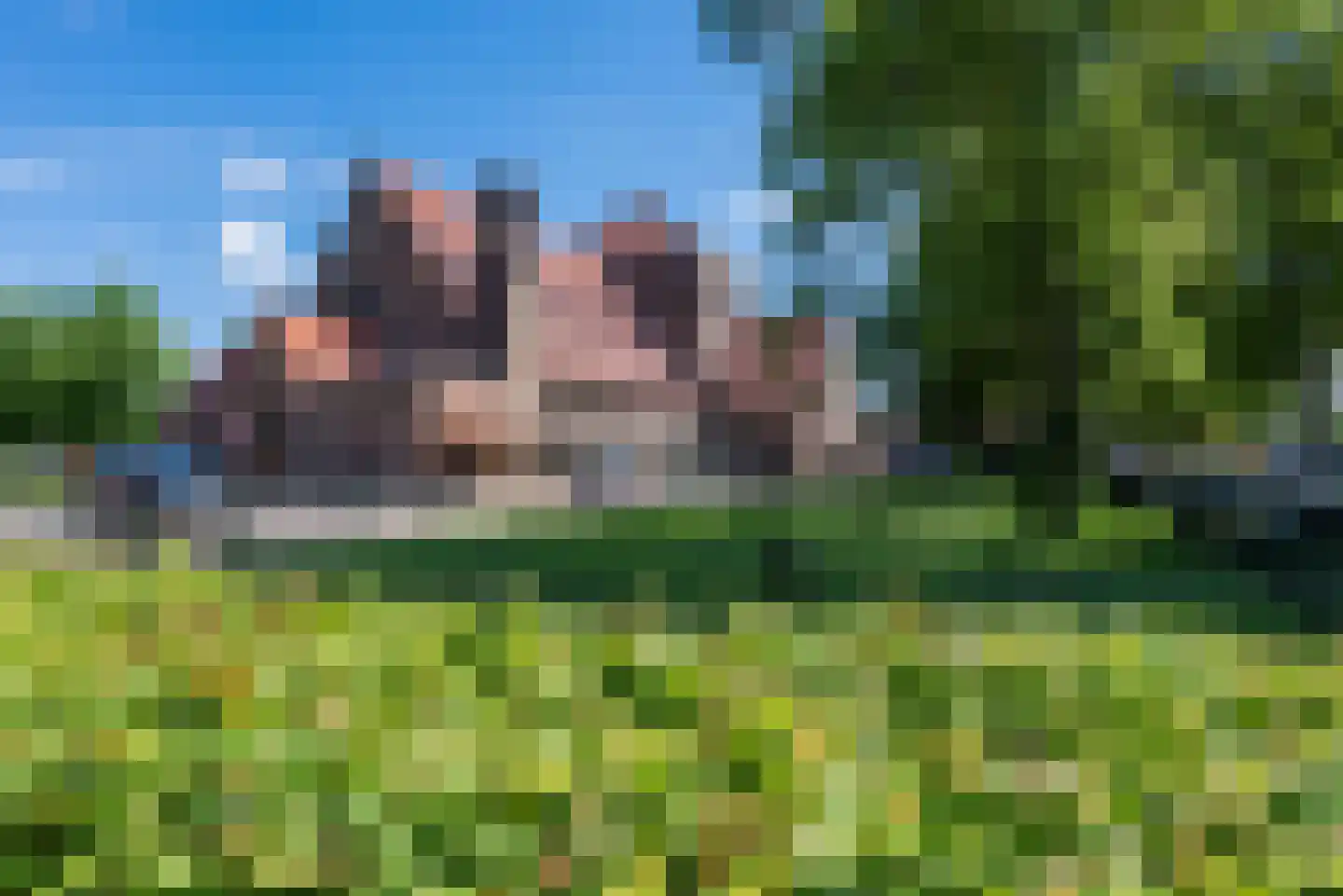 ter Borghstraat 46 Geldrop thumbnail 35
