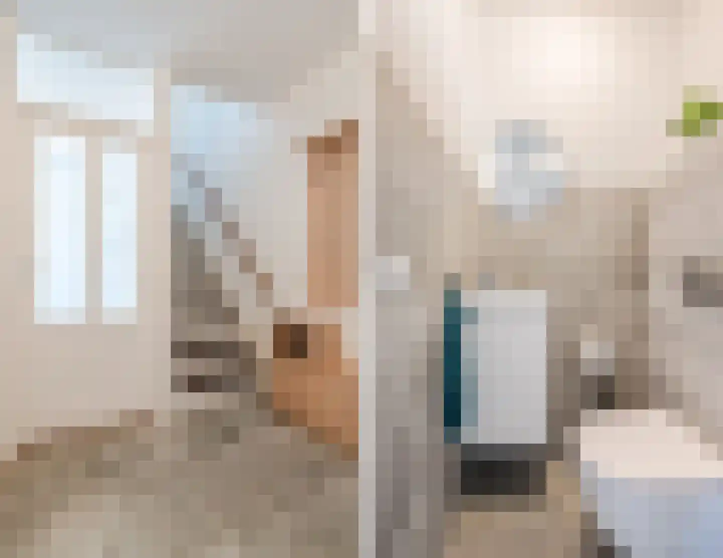 ter Borghstraat 46 Geldrop thumbnail 4