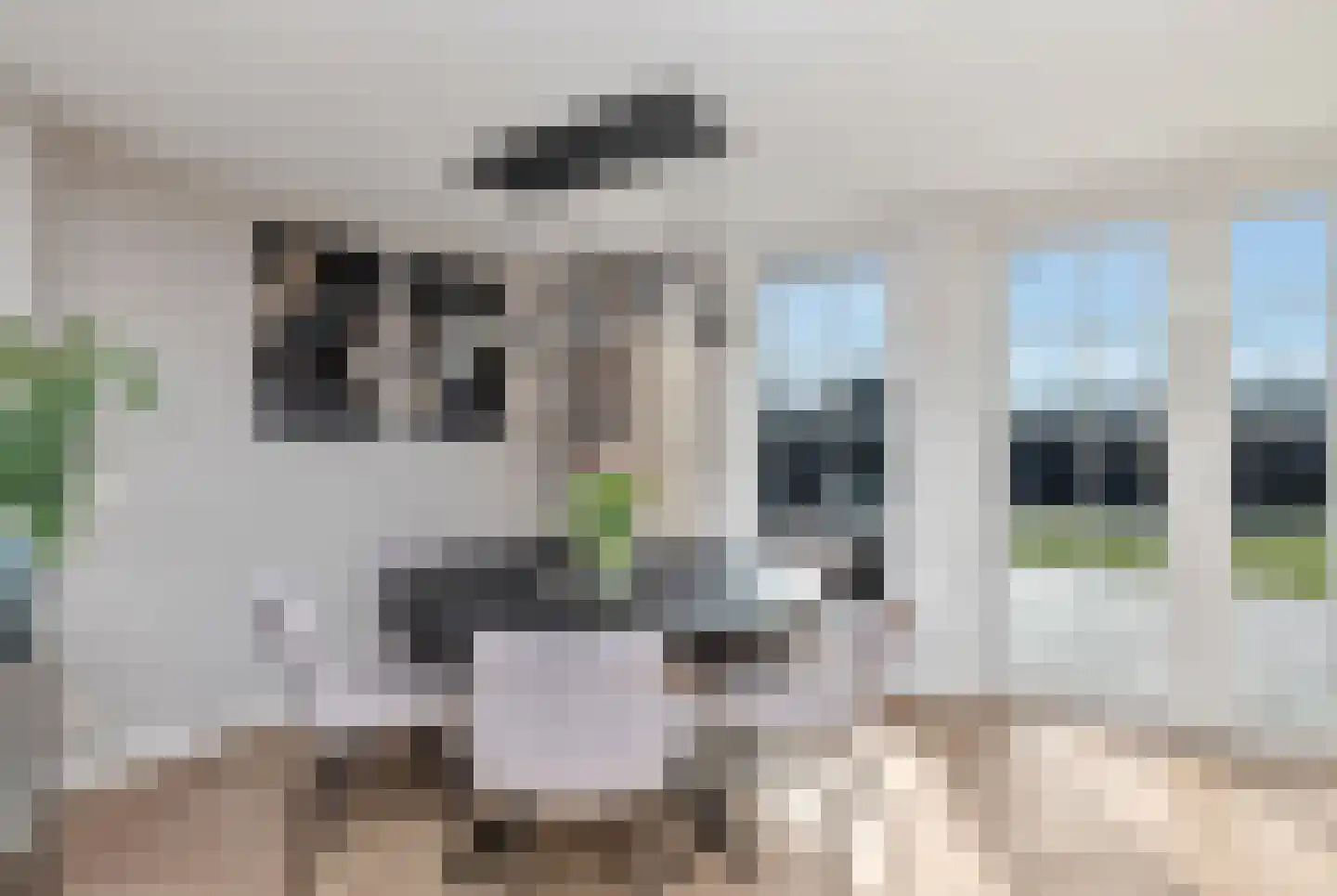 Ter Braaklaan 14 Heerhugowaard thumbnail 10