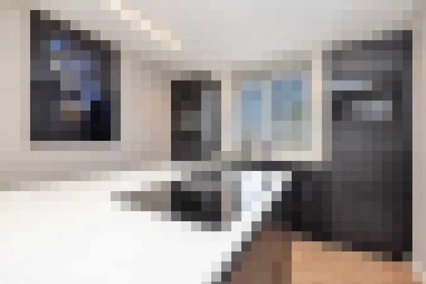 Ter Braaklaan 14 Heerhugowaard thumbnail 17