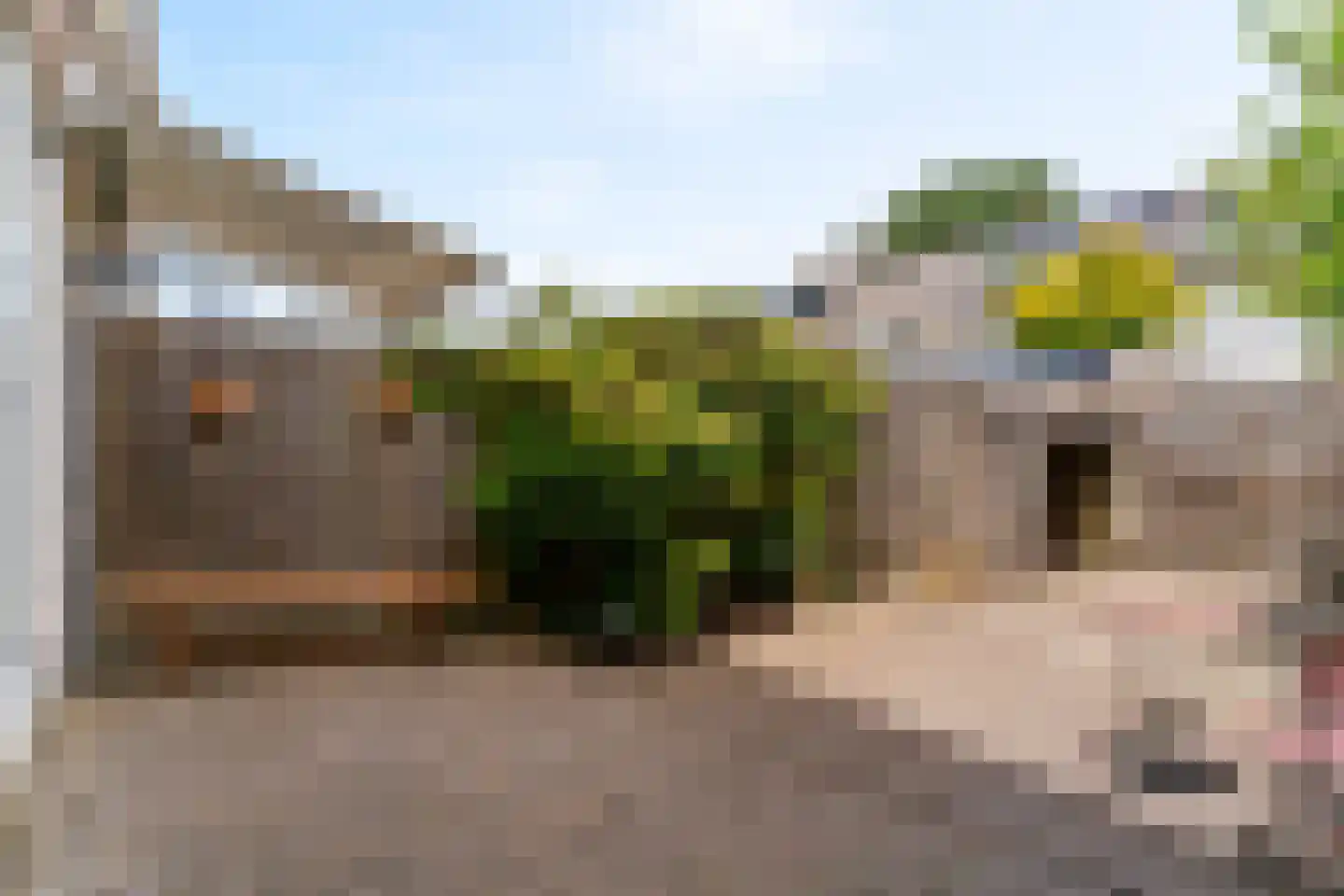 Ter Braaklaan 17 Uithoorn thumbnail 23