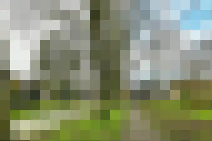 Ter Braaklaan 21 Uithoorn thumbnail 23