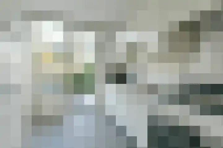 Ter Braaklaan 21 Uithoorn thumbnail 6