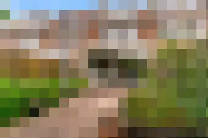 Ter Braaklaan 22 Uithoorn thumbnail 24