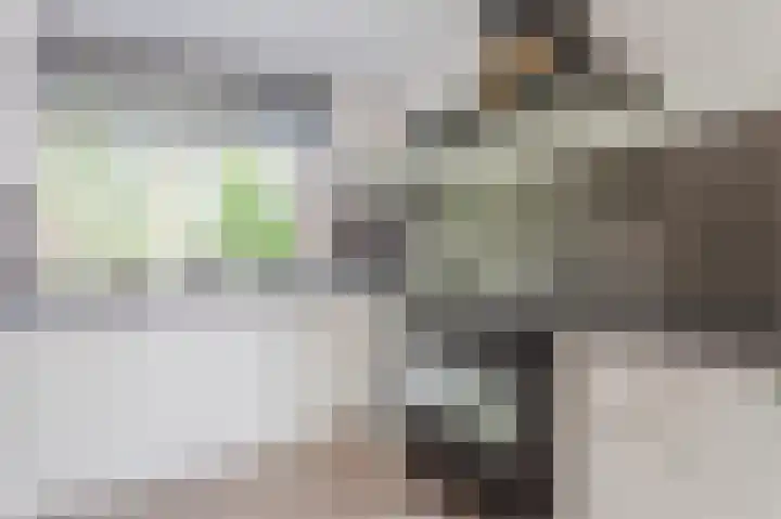 Ter Braaklaan 24 Uithoorn thumbnail 11