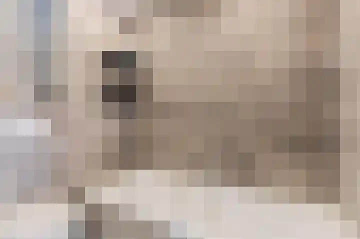 Ter Braaklaan 24 Uithoorn thumbnail 22