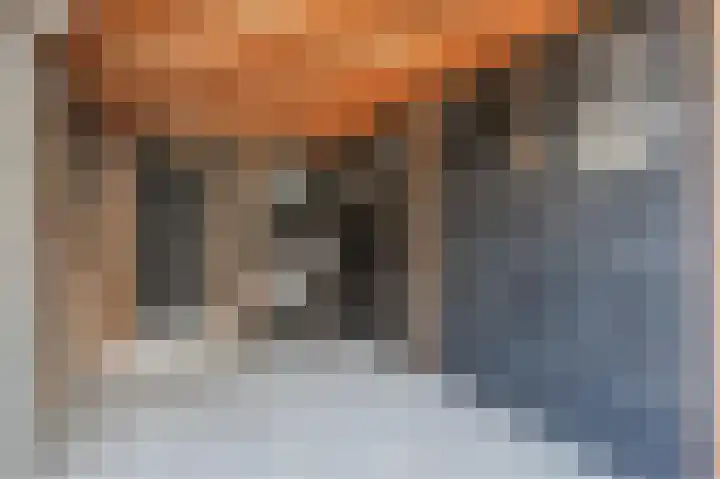 Ter Braaklaan 24 Uithoorn thumbnail 31