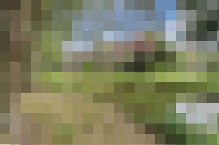 Ter Braaklaan 24 Uithoorn thumbnail 35