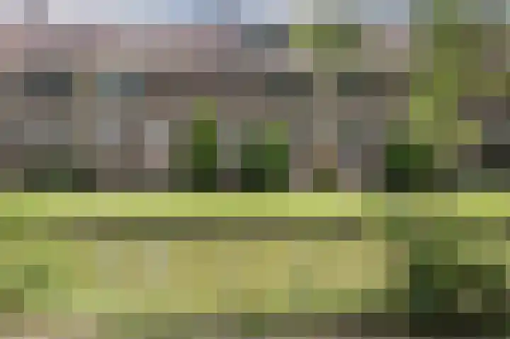 Ter Braaklaan 24 Uithoorn thumbnail 39