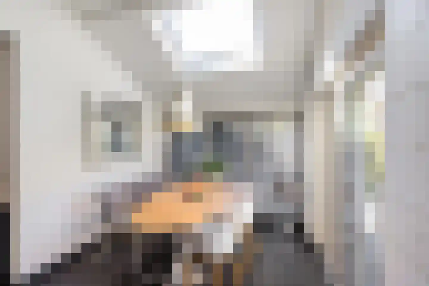Ter Braaklaan 4 Groningen thumbnail 21