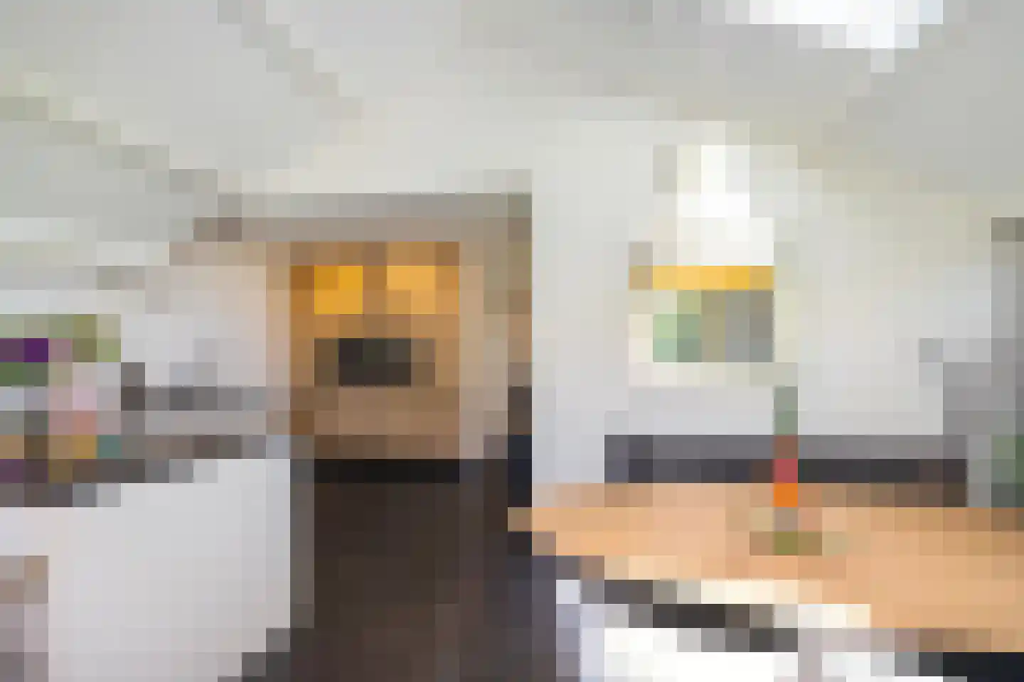 Ter Braaklaan 4 Groningen thumbnail 22