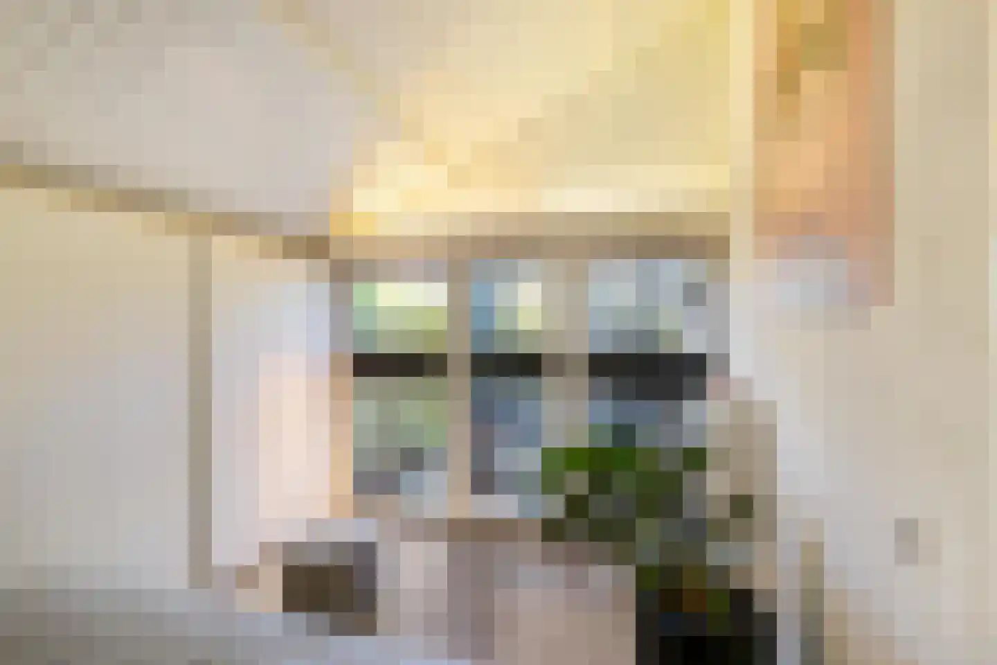 Ter Braaklaan 4 Groningen thumbnail 24