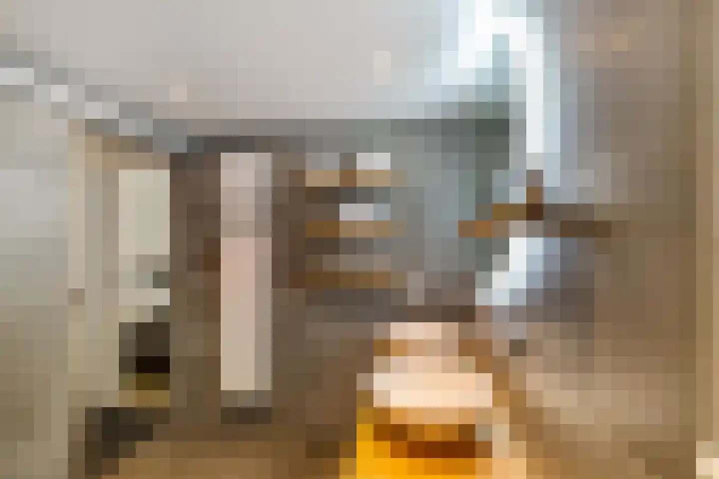 Ter Braaklaan 4 Groningen thumbnail 28