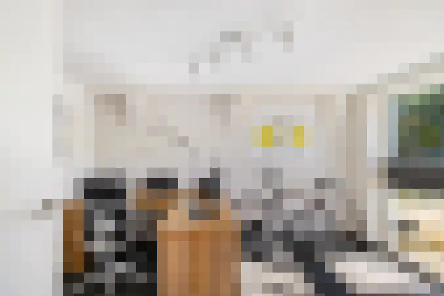 Ter Braaklaan 4 Groningen thumbnail 31
