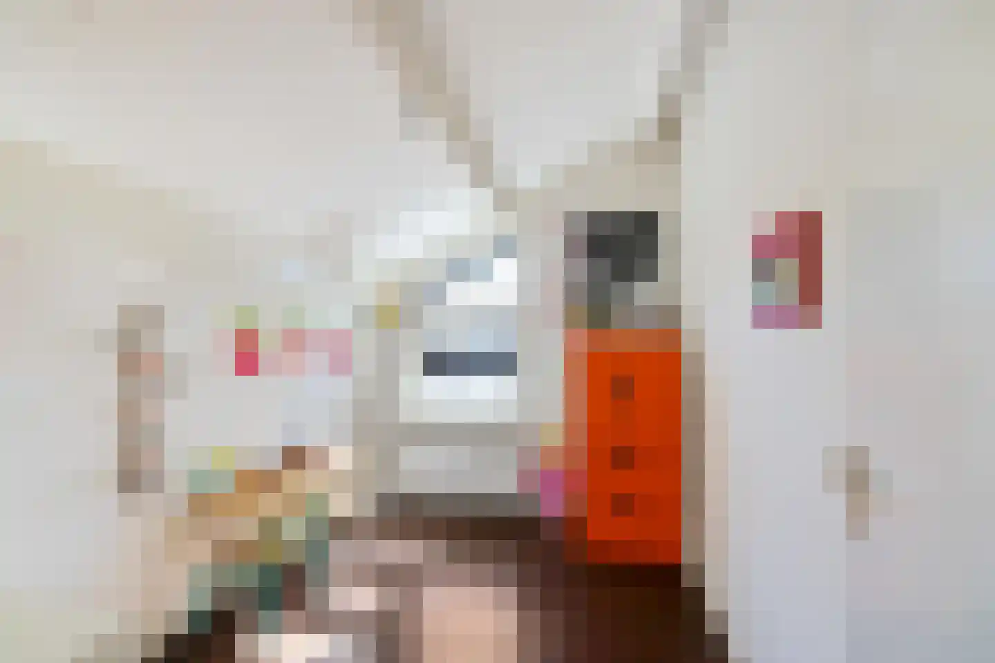 Ter Braaklaan 4 Groningen thumbnail 38