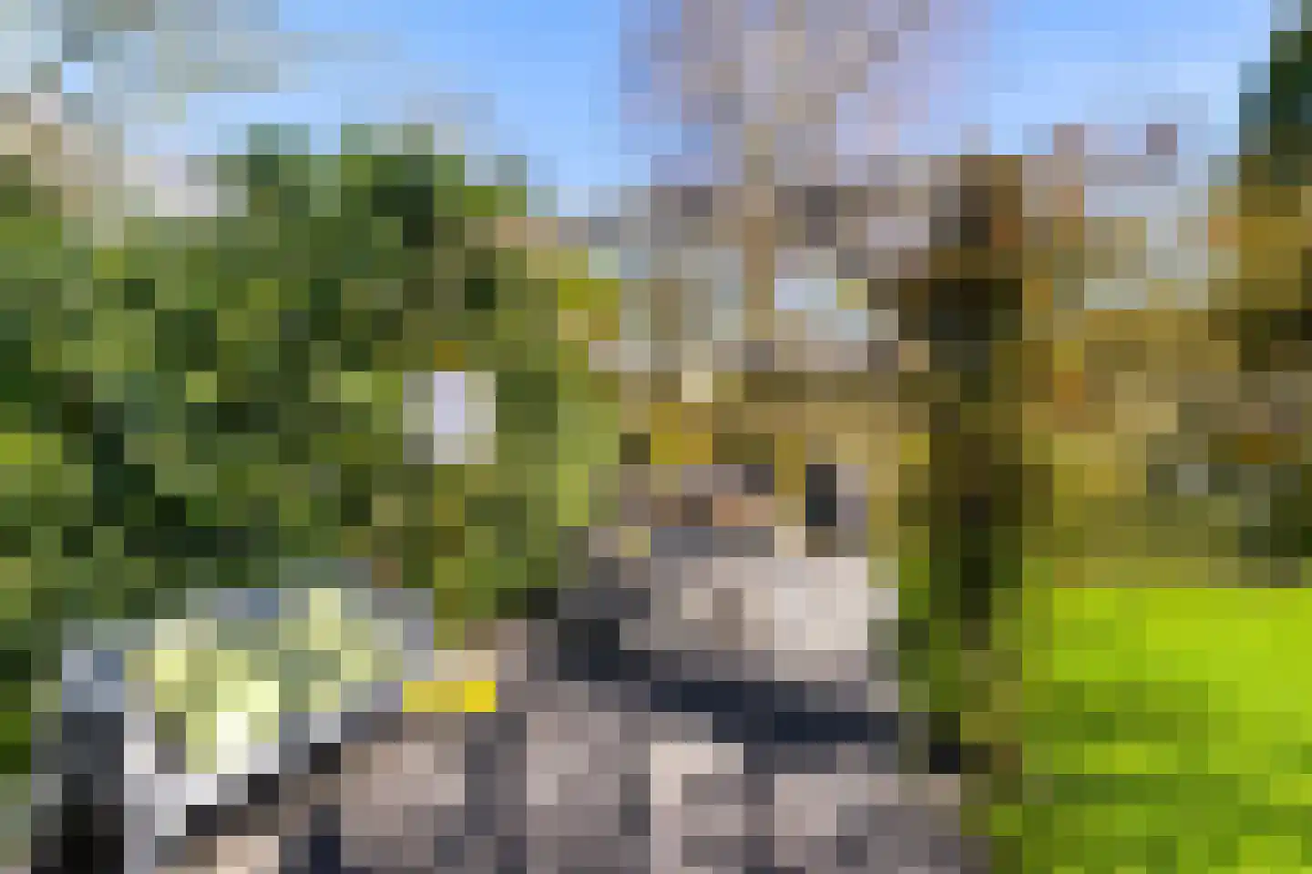 Ter Braaklaan 4 Groningen thumbnail 46