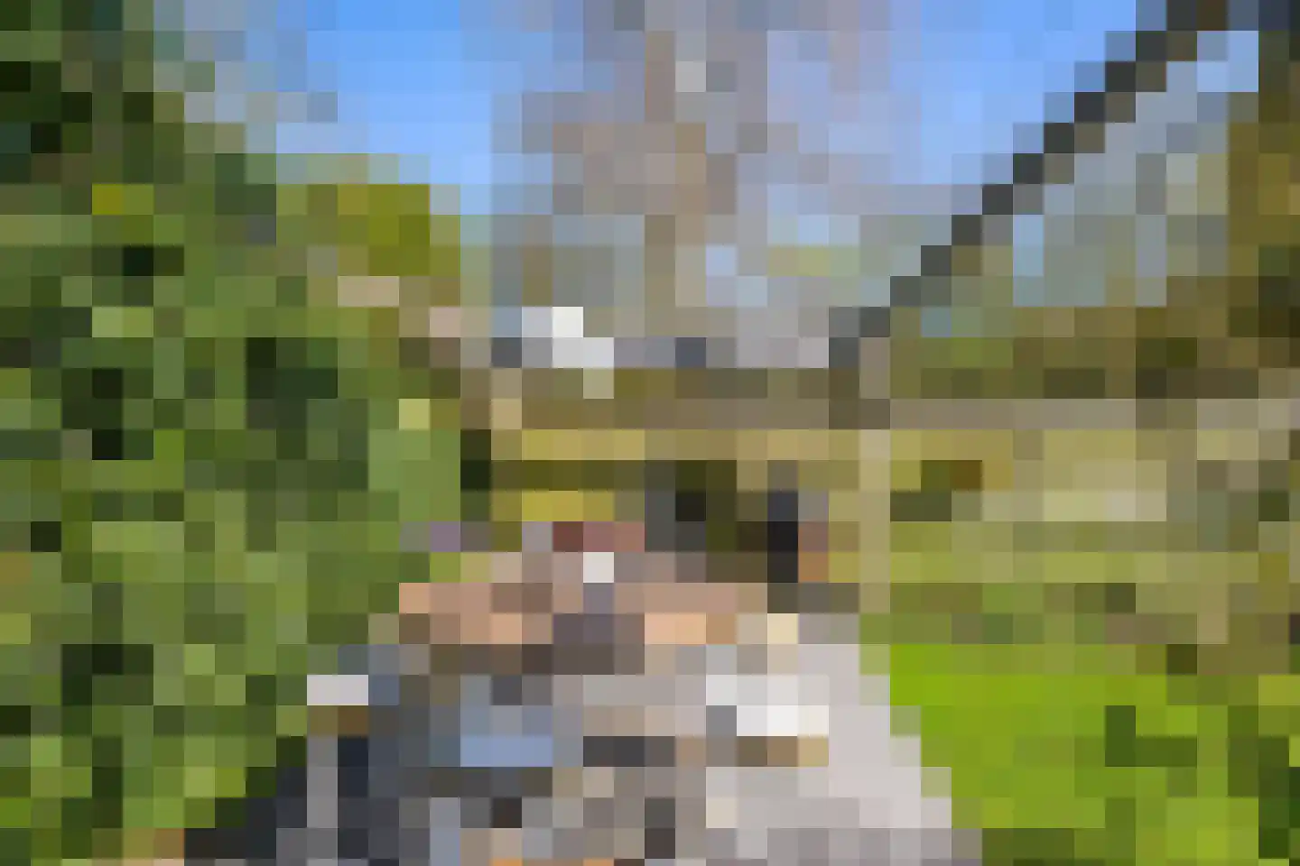 Ter Braaklaan 4 Groningen thumbnail 47