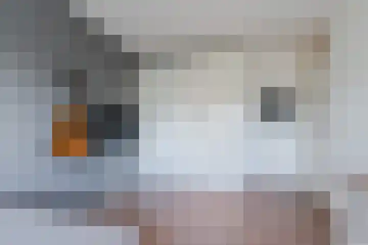 Ter Braaklaan 44 Uithoorn thumbnail 32