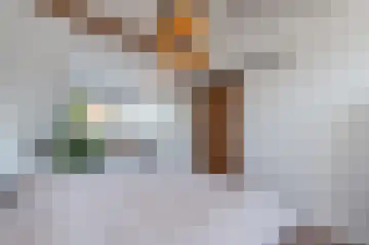 Ter Braaklaan 44 Uithoorn thumbnail 38