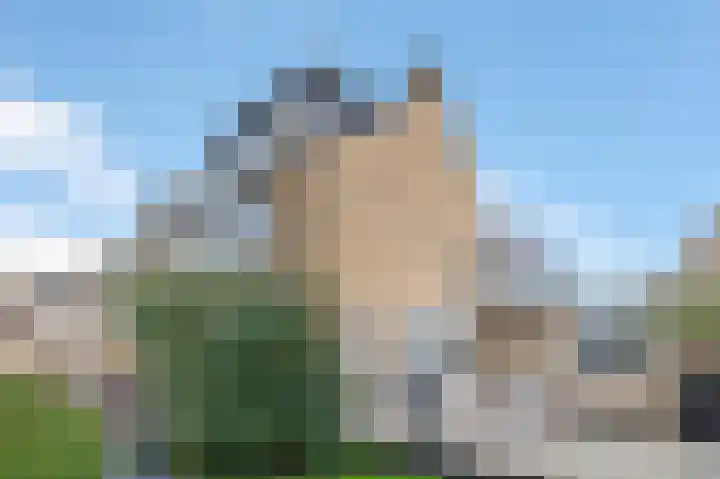 Ter Braaklaan 44 Uithoorn thumbnail 51