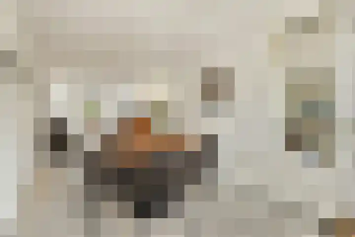 Ter Braaklaan 47 Uithoorn thumbnail 10