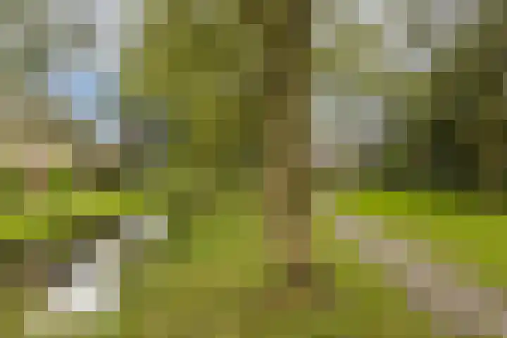 Ter Braaklaan 47 Uithoorn thumbnail 25