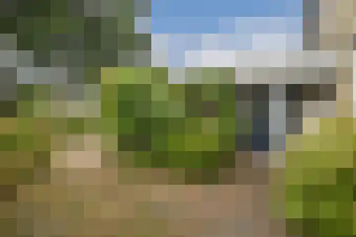 Ter Braaklaan 47 Uithoorn foto 3