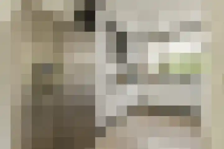 Ter Braaklaan 47 Uithoorn thumbnail 7