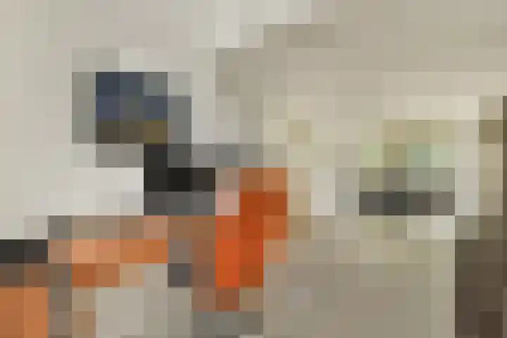 Ter Braaklaan 47 Uithoorn thumbnail 8