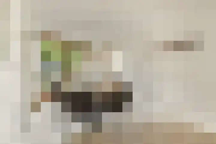 Ter Braaklaan 47 Uithoorn thumbnail 9